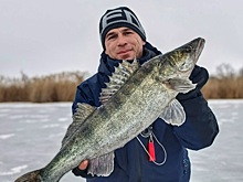 Иван Шнырев поймал на зимней рыбалке судака весом 3,5 кг