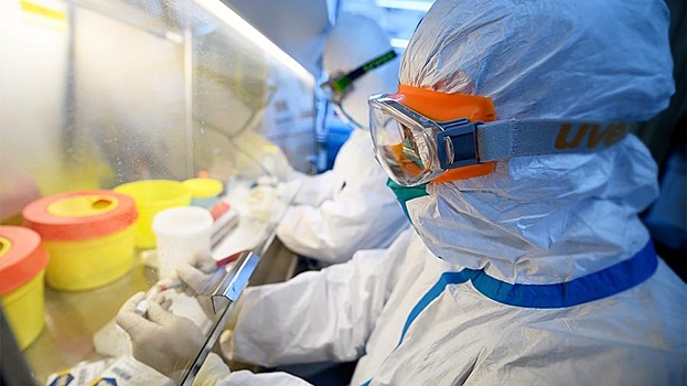 Вызывает опасения: эксперт о новом генипавирусе из Китая