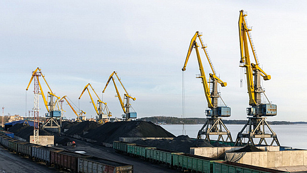 Сельскохозяйственный экспорт ЮАР в 2023 году достиг рекордных 13,2 млрд долларов