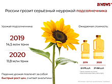 Дожили. Подсолнечное масло резко вырастет в цене