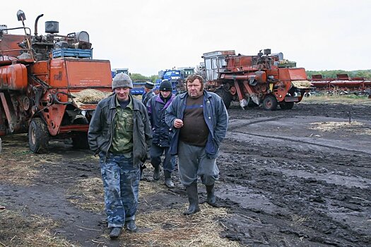 В Сибири внедрят новые механизмы сельхозстрахования