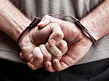 Правозащитника Солдатова арестовали по подозрению в мошенничестве