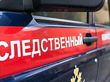 По факту смерти главы федерации карате Санкт-Петербурга открыли уголовное дело
