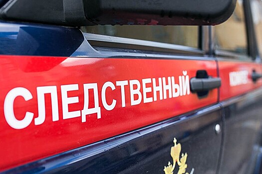 По факту смерти главы федерации карате Санкт-Петербурга открыли уголовное дело