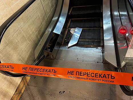 В России двухлетний ребенок остался без руки после попадания в эскалатор в ТЦ