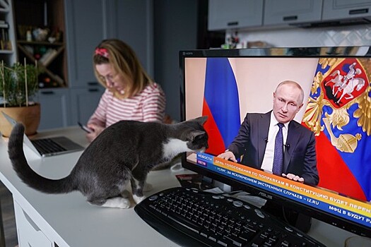 «Левада-центр» зафиксировал рекордное падение рейтинга доверия Путину
