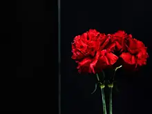 Актер из фильма «Побег из Шоушенка» Нил Саммерс умер на 82-м году жизни