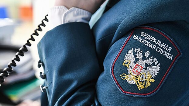 ФНС начислила рекордную сумму пеней за квартал