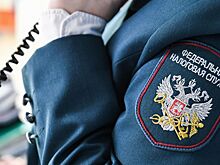 ФНС начислила рекордную сумму пеней за квартал