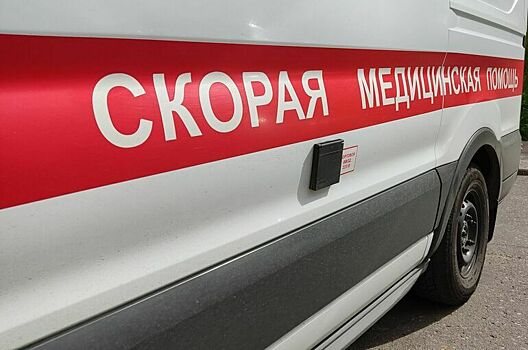 В ДТП с микроавтобусом в Белгородской области погибли два человека