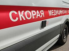 В ДТП с микроавтобусом в Белгородской области погибли два человека