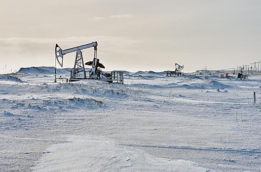 Москвич решил построить на дальневосточном гектаре шламонакопитель — сахалинские экологи бьют тревогу