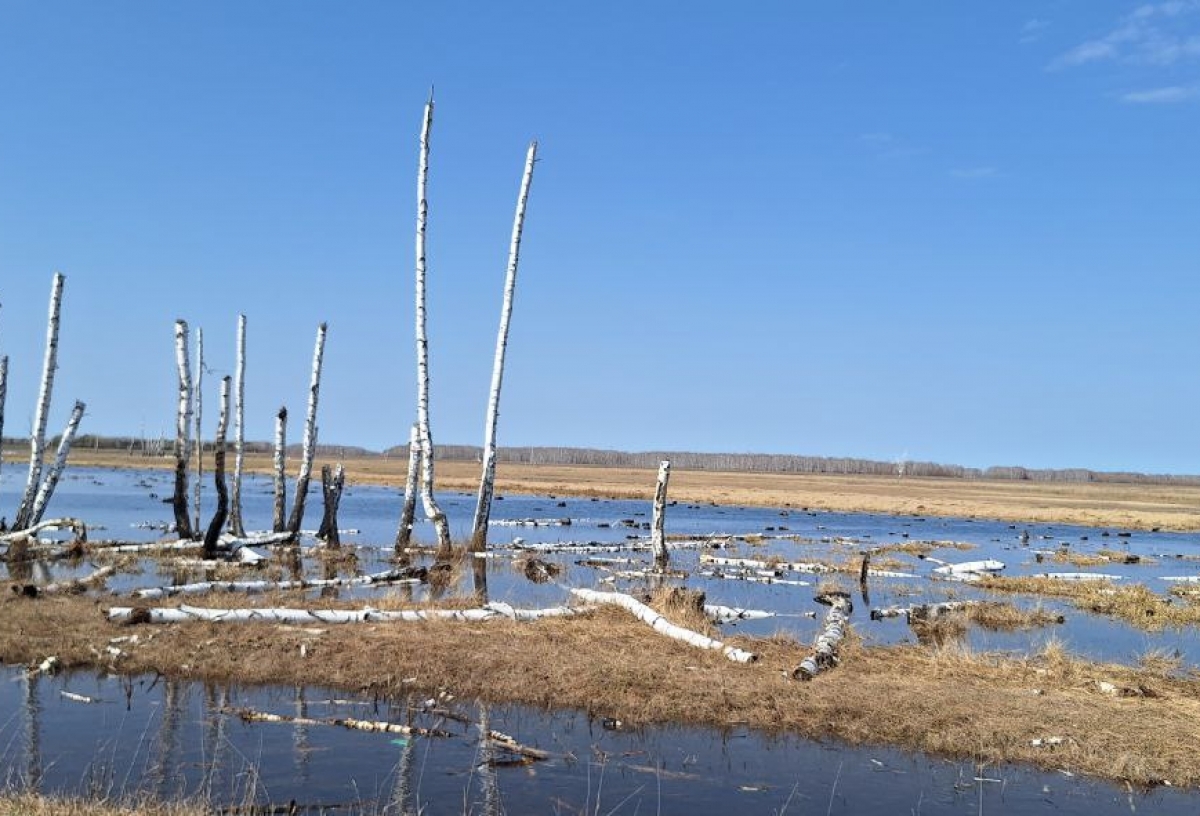 В нескольких районах Омской области начало топить дома: МЧС приводит список