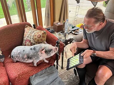 Арнольд Шварценеггер выложил в сеть фотосет со своими домашними питомцами