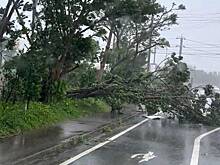 Сильный тайфун оставил без света сотни тысяч японцев