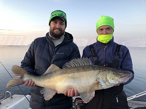 Рыбак из Тольятти выловил гигантского судака