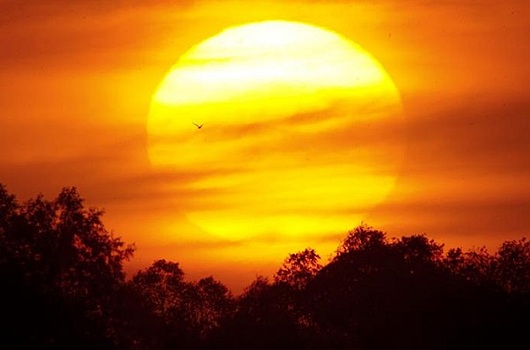 Обнаружен новый тип электронных вспышек Солнца