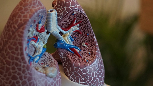 Врач предупредила об укорачивающей жизнь на 20 лет привычке