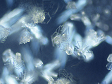 Кристаллограф Артём Оганов — о потенциале российской науки