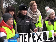 В Калининграде провели акцию «Безопасный переход»