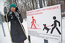 Собаководов попросили не мешать лыжникам