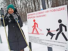 Собаководов попросили не мешать лыжникам