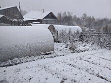 В нескольких районах Кировской области выпал снег