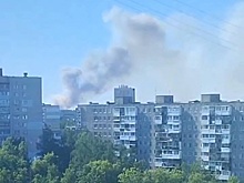 Появились подробности крупного лесного пожара под Дзержинском