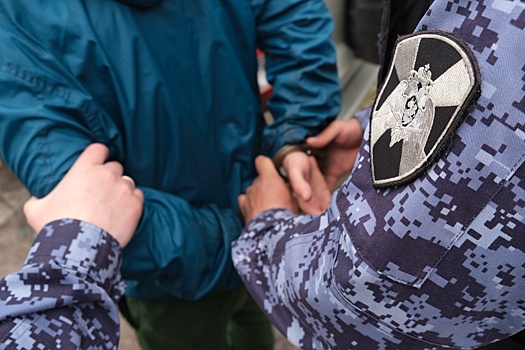 В Курске задержали прыгуна по автомобилям