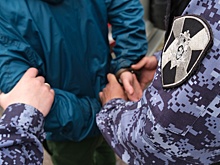 В Курске задержали прыгуна по автомобилям