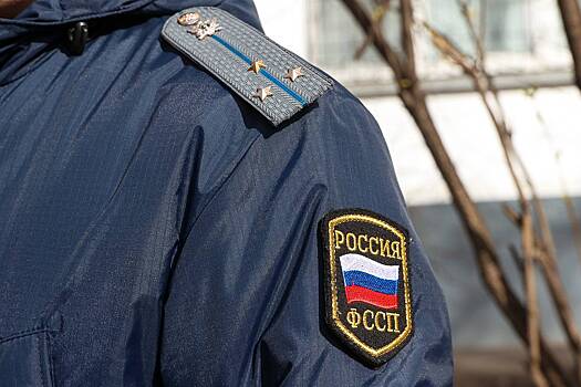 У живущего в США блогера-иноагента из России арестовали средства в банке