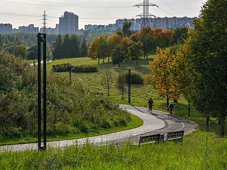 Москвичам рассказали о погоде 11 сентября