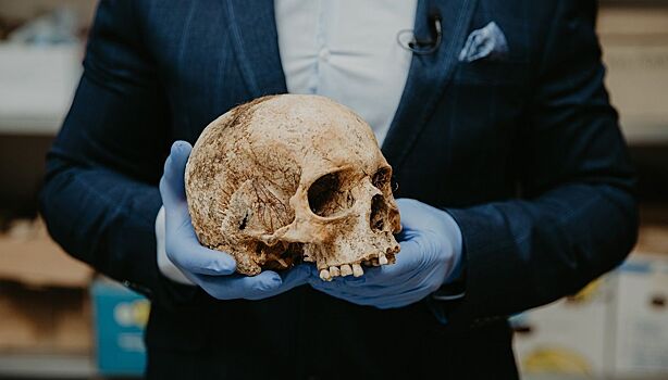 Ученые объяснили, как определить подлинность черепа Декарта