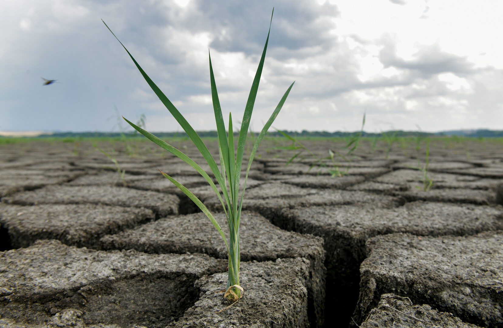 ООН предупредила о новой глобальной катастрофе