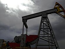 The Washington Times (США): саудовцы не поддались на провокацию Путина в нефтяной войне, и Россия проиграла