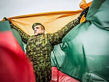 Расследование: литовские чиновники раскрыли Кремлю секретную информацию