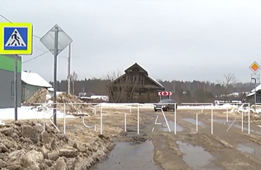 Посёлок в Семёновском округе затопило нечистотами с племенного завода
