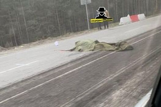 На подъезде к Барнаулу насмерть сбили мужчину