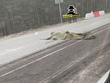 На подъезде к Барнаулу насмерть сбили мужчину