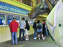 Букмекеров хотят оградить от иностранного участия