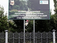 «Хоровод у елки, зимние игры, письма в Почту Деда Мороза»: омский дендросад анонсировал новогоднюю программу