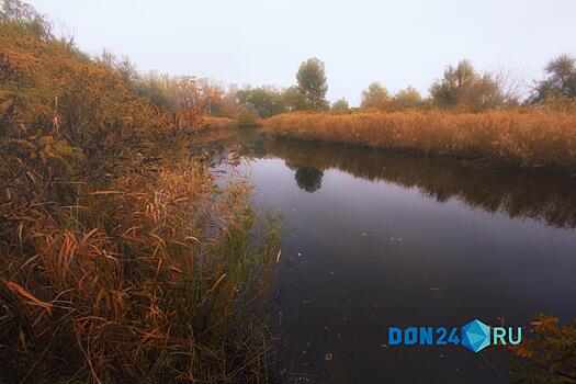 Инспекторы минприроды подтвердили факт загрязнения Александровского пруда в Аксайском районе