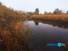 Инспекторы минприроды подтвердили факт загрязнения Александровского пруда в Аксайском районе