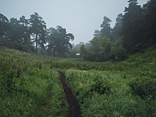 Юрист Русяев предупредил о возможных штрафах при заезде в лес