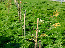 Экомарафон «Спасти и сохранить» стартовал в Югре
