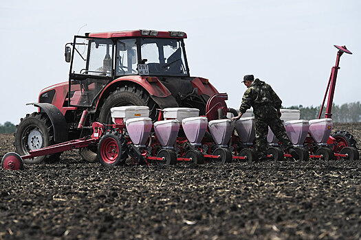 Что будут выращивать российские фермеры в ближайшие двадцать лет