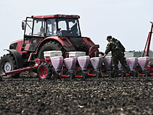 Что будут выращивать российские фермеры в ближайшие двадцать лет
