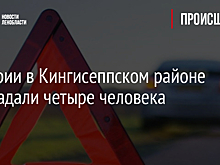В аварии в Кингисеппском районе пострадали четыре человека