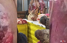 Волгоградские дети поздравляли матерей на рынке среди свиных голов