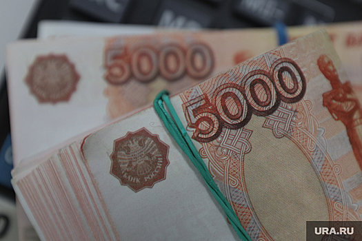 Курганские власти потратили 360 миллионов рублей на импортозамещение